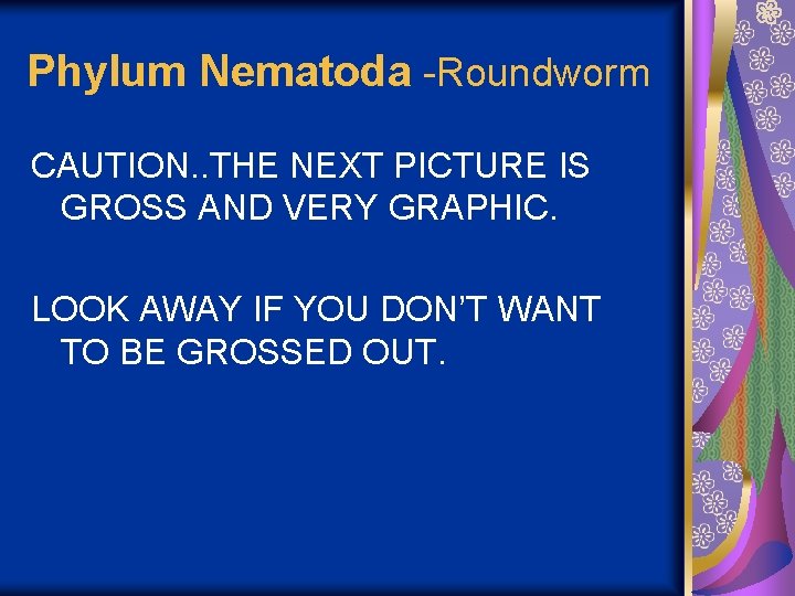 Phylum Nematoda -Roundworm CAUTION. . THE NEXT PICTURE IS GROSS AND VERY GRAPHIC. LOOK