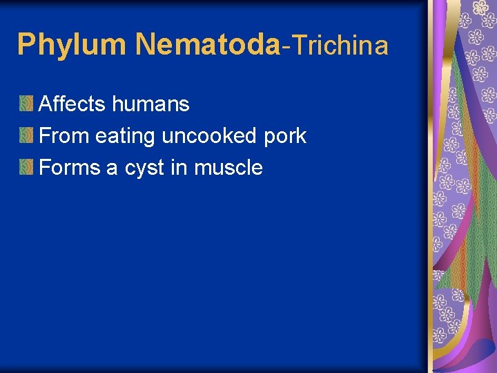 Phylum Nematoda-Trichina Affects humans From eating uncooked pork Forms a cyst in muscle 