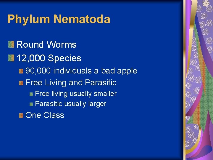 Phylum Nematoda Round Worms 12, 000 Species 90, 000 individuals a bad apple Free