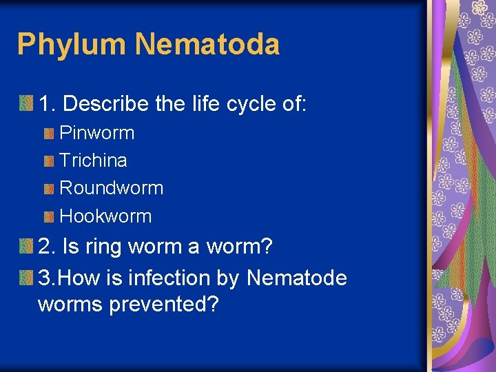 Phylum Nematoda 1. Describe the life cycle of: Pinworm Trichina Roundworm Hookworm 2. Is