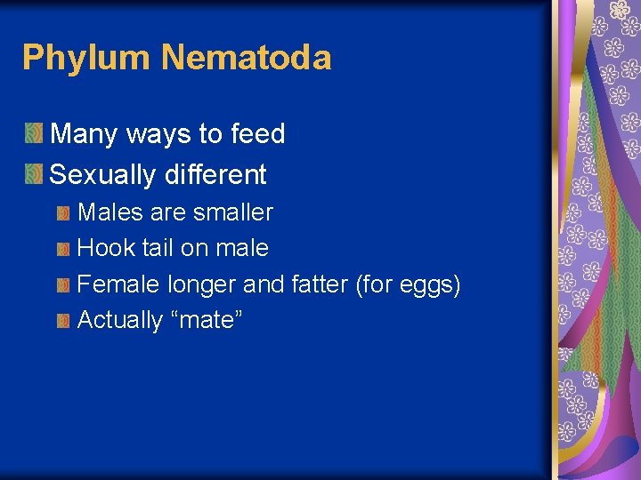 Phylum Nematoda Many ways to feed Sexually different Males are smaller Hook tail on