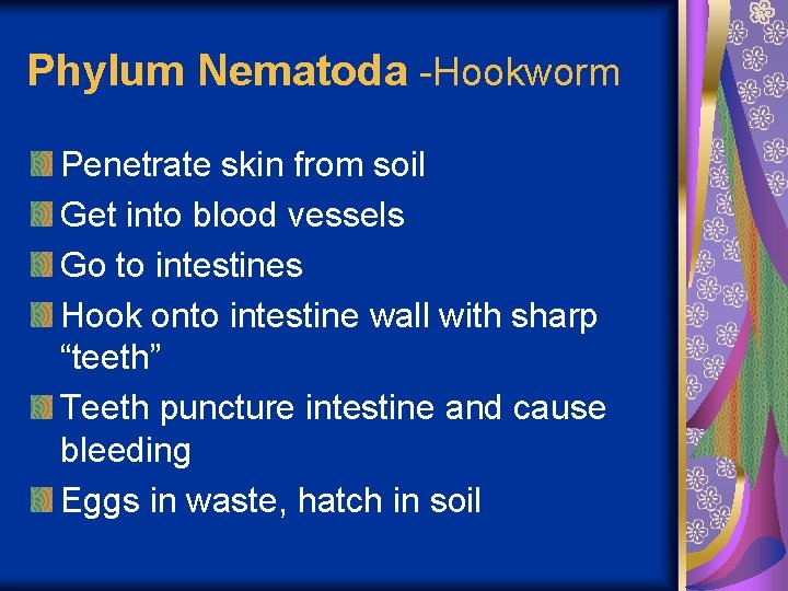 Phylum Nematoda -Hookworm Penetrate skin from soil Get into blood vessels Go to intestines