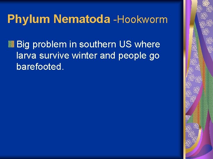 Phylum Nematoda -Hookworm Big problem in southern US where larva survive winter and people