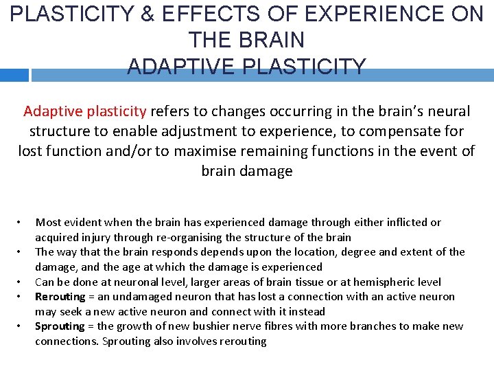 PLASTICITY & EFFECTS OF EXPERIENCE ON THE BRAIN ADAPTIVE PLASTICITY Adaptive plasticity refers to