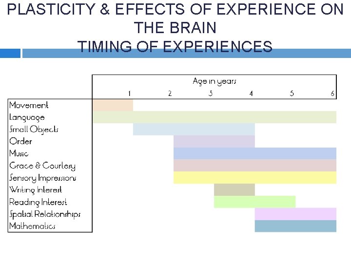 PLASTICITY & EFFECTS OF EXPERIENCE ON THE BRAIN TIMING OF EXPERIENCES 
