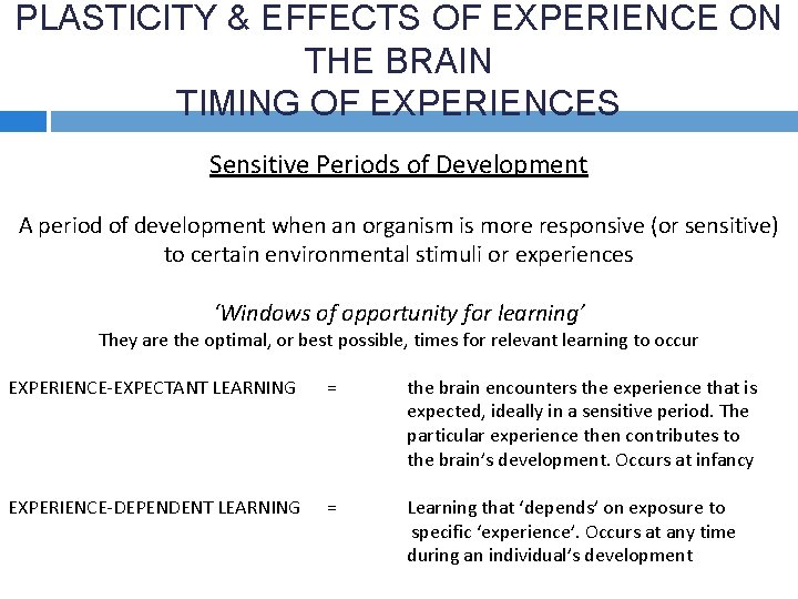 PLASTICITY & EFFECTS OF EXPERIENCE ON THE BRAIN TIMING OF EXPERIENCES Sensitive Periods of