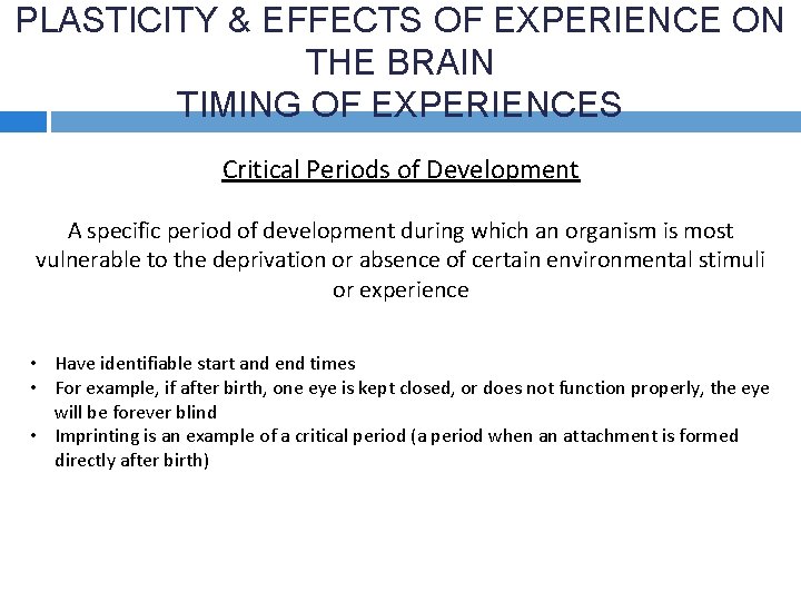 PLASTICITY & EFFECTS OF EXPERIENCE ON THE BRAIN TIMING OF EXPERIENCES Critical Periods of
