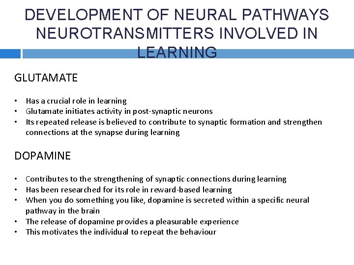 DEVELOPMENT OF NEURAL PATHWAYS NEUROTRANSMITTERS INVOLVED IN LEARNING GLUTAMATE • Has a crucial role
