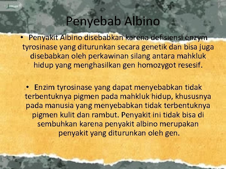 Penyebab Albino • Penyakit Albino disebabkan karena defisiensi enzym tyrosinase yang diturunkan secara genetik