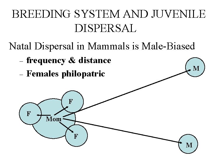 BREEDING SYSTEM AND JUVENILE DISPERSAL Natal Dispersal in Mammals is Male-Biased – – frequency