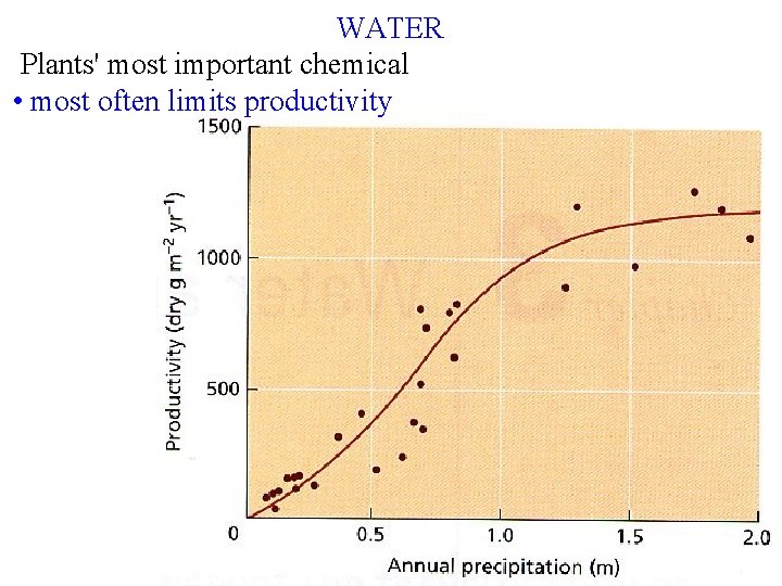 WATER Plants' most important chemical • most often limits productivity 