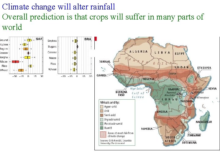 Climate change will alter rainfall Overall prediction is that crops will suffer in many