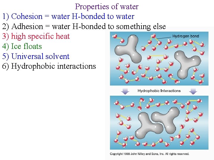 Properties of water 1) Cohesion = water H-bonded to water 2) Adhesion = water