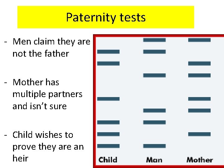 Paternity tests - Men claim they are not the father - Mother has multiple