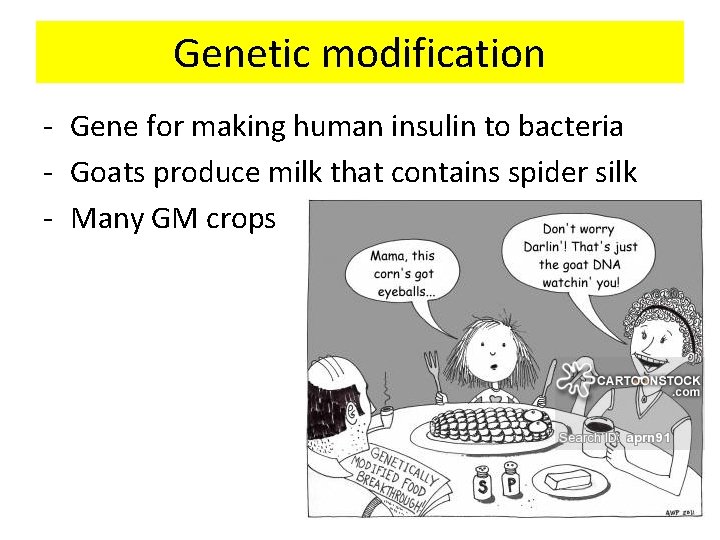 Genetic modification - Gene for making human insulin to bacteria - Goats produce milk