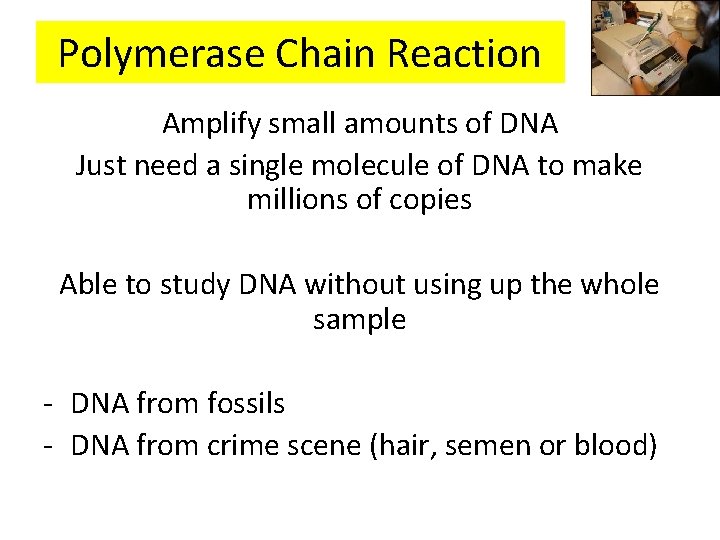 Polymerase Chain Reaction Amplify small amounts of DNA Just need a single molecule of