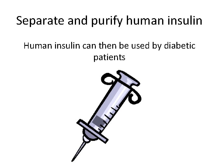 Separate and purify human insulin Human insulin can then be used by diabetic patients