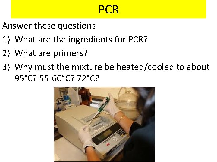 PCR Answer these questions 1) What are the ingredients for PCR? 2) What are