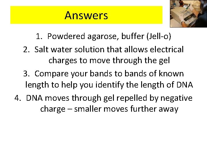 Answers 1. Powdered agarose, buffer (Jell-o) 2. Salt water solution that allows electrical charges