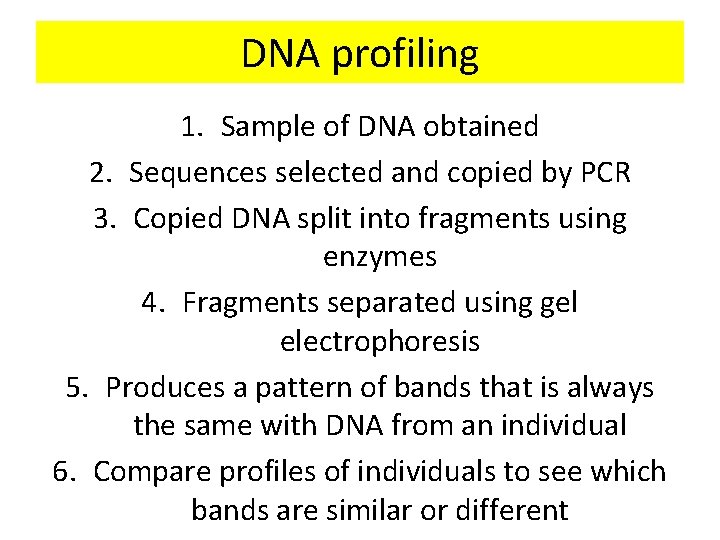 DNA profiling 1. Sample of DNA obtained 2. Sequences selected and copied by PCR
