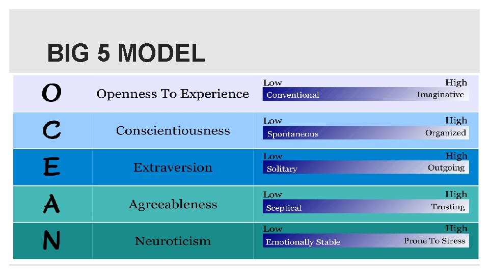 BIG 5 MODEL 
