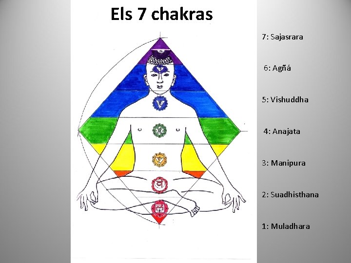 Els 7 chakras 7: Sajasrara 6: Agñá 5: Vishuddha 4: Anajata 3: Manipura 2: