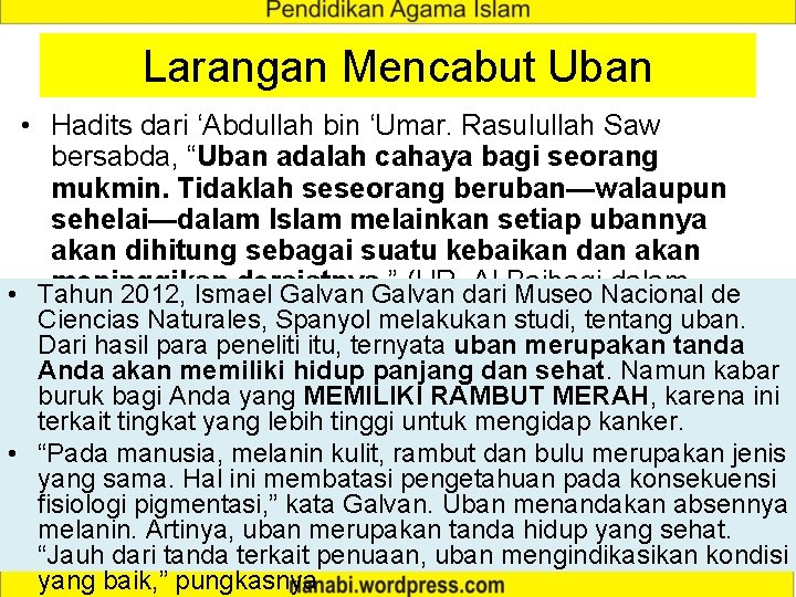 Larangan Mencabut Uban • Hadits dari ‘Abdullah bin ‘Umar. Rasulullah Saw bersabda, “Uban adalah