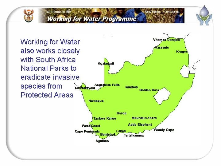 Working for Water also works closely with South Africa National Parks to eradicate invasive