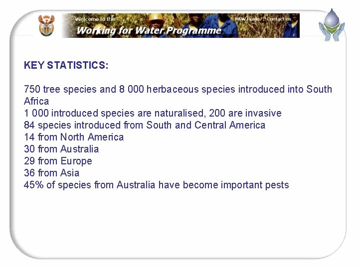 KEY STATISTICS: 750 tree species and 8 000 herbaceous species introduced into South Africa