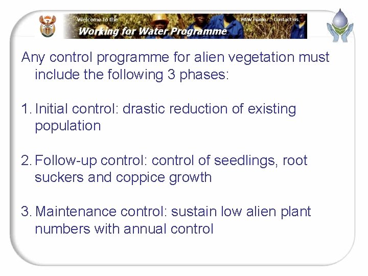 Any control programme for alien vegetation must include the following 3 phases: 1. Initial