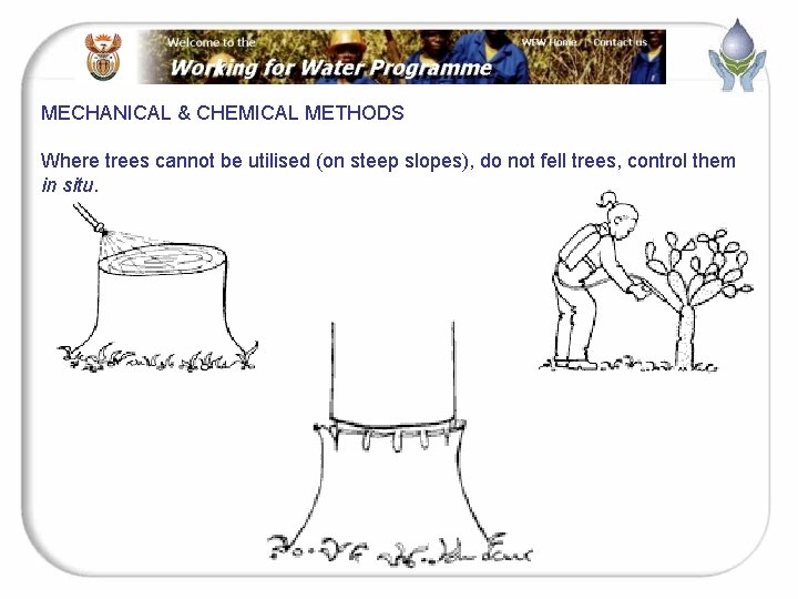 MECHANICAL & CHEMICAL METHODS Where trees cannot be utilised (on steep slopes), do not