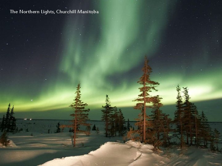 The Northern Lights, Churchill Manitoba 