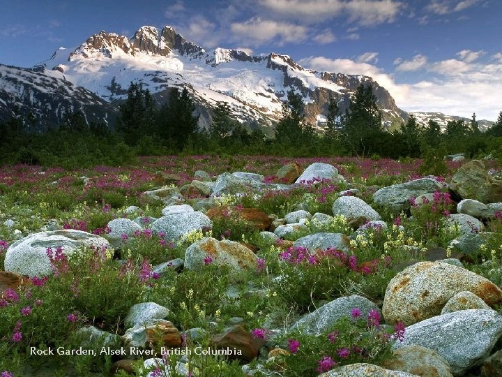 Rock Garden, Alsek River, British Columbia 