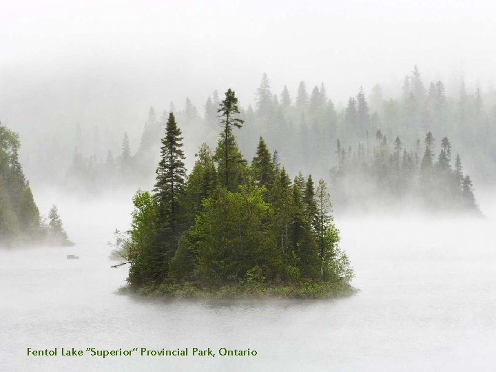 Fentol Lake “Superior” Provincial Park, Ontario 