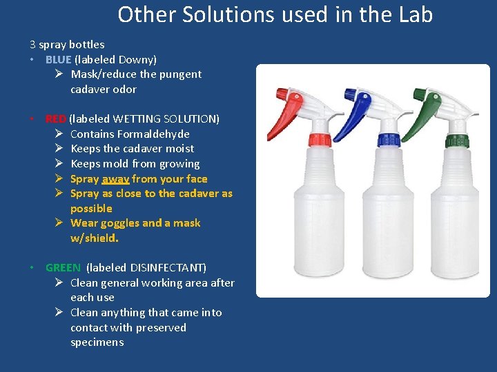Other Solutions used in the Lab 3 spray bottles • BLUE (labeled Downy) Ø