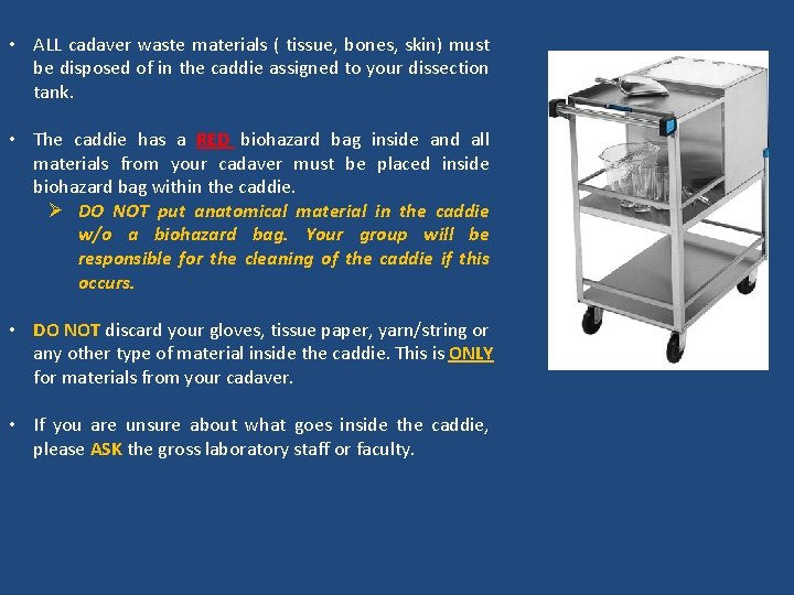  • ALL cadaver waste materials ( tissue, bones, skin) must be disposed of