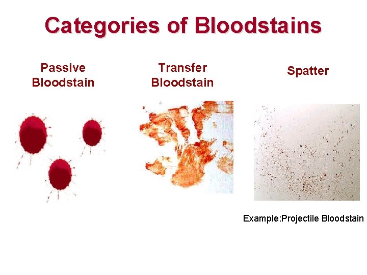 Categories of Bloodstains Passive Bloodstain Transfer Bloodstain Spatter Example: Projectile Bloodstain Categories of Bloodstains Passive Bloodstain Transfer Bloodstain Spatter Example: Projectile Bloodstain