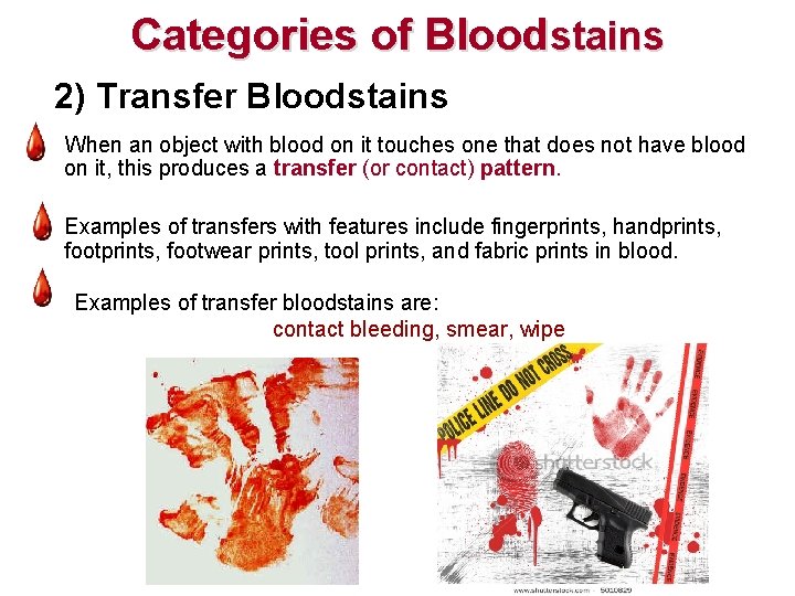 Categories of Bloodstains 2) Transfer Bloodstains When an object with blood on it touches Categories of Bloodstains 2) Transfer Bloodstains When an object with blood on it touches