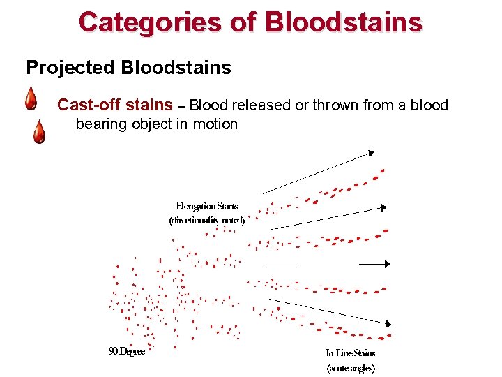 Categories of Bloodstains Projected Bloodstains Cast-off stains – Blood released or thrown from a Categories of Bloodstains Projected Bloodstains Cast-off stains – Blood released or thrown from a