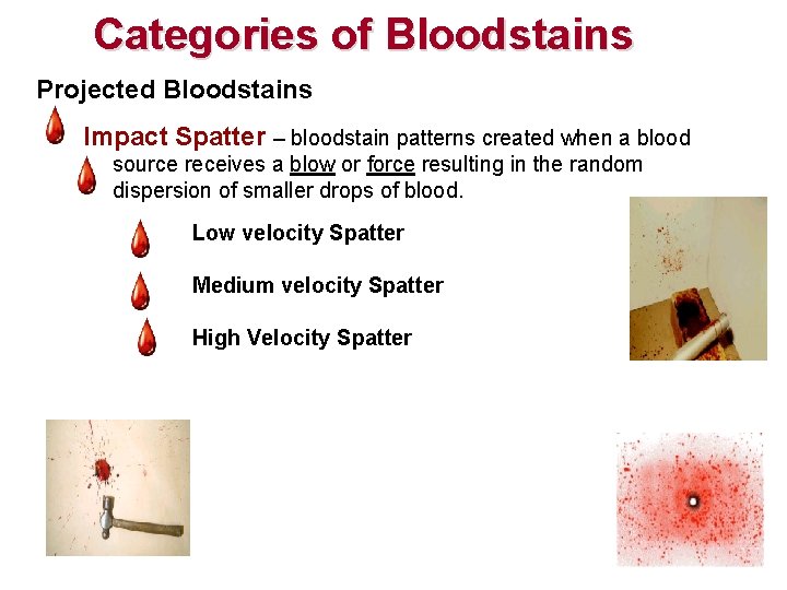 Categories of Bloodstains Projected Bloodstains Impact Spatter – bloodstain patterns created when a blood Categories of Bloodstains Projected Bloodstains Impact Spatter – bloodstain patterns created when a blood