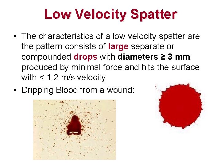 Low Velocity Spatter • The characteristics of a low velocity spatter are the pattern Low Velocity Spatter • The characteristics of a low velocity spatter are the pattern
