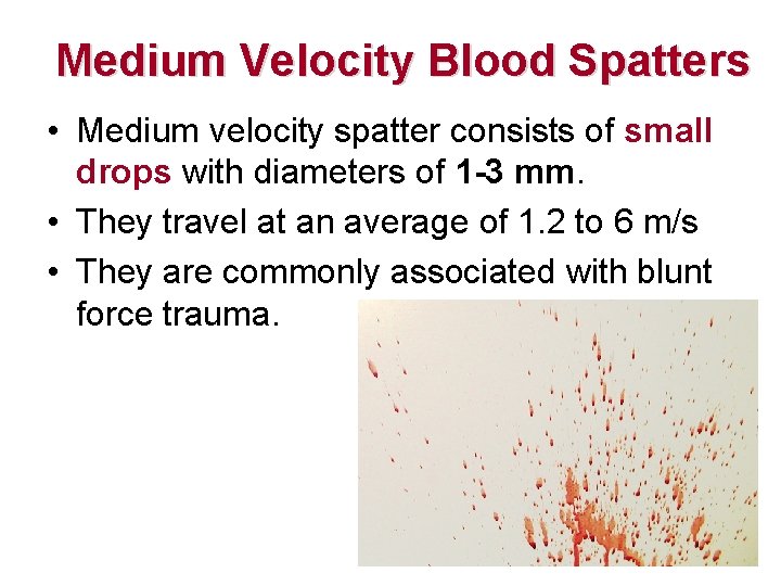 Medium Velocity Blood Spatters • Medium velocity spatter consists of small drops with diameters Medium Velocity Blood Spatters • Medium velocity spatter consists of small drops with diameters
