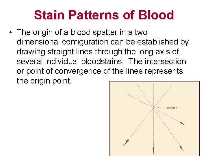 Stain Patterns of Blood • The origin of a blood spatter in a twodimensional Stain Patterns of Blood • The origin of a blood spatter in a twodimensional