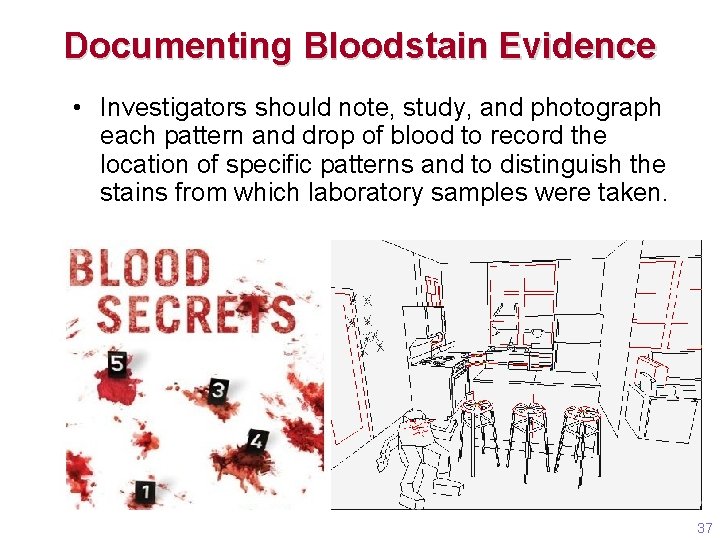 Documenting Bloodstain Evidence • Investigators should note, study, and photograph each pattern and drop Documenting Bloodstain Evidence • Investigators should note, study, and photograph each pattern and drop