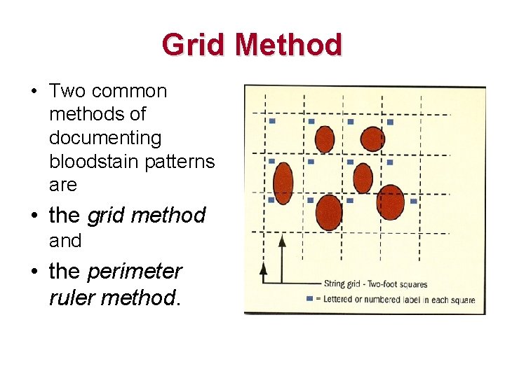 Grid Method • Two common methods of documenting bloodstain patterns are • the grid Grid Method • Two common methods of documenting bloodstain patterns are • the grid