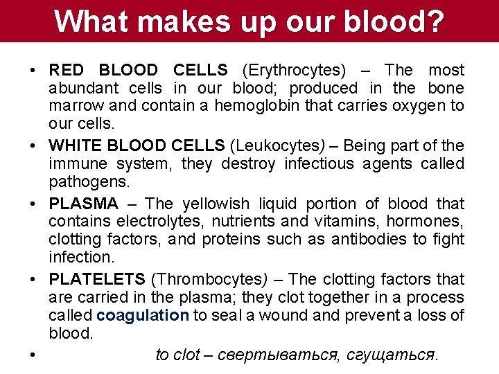 What makes up our blood? • RED BLOOD CELLS (Erythrocytes) – The most abundant What makes up our blood? • RED BLOOD CELLS (Erythrocytes) – The most abundant
