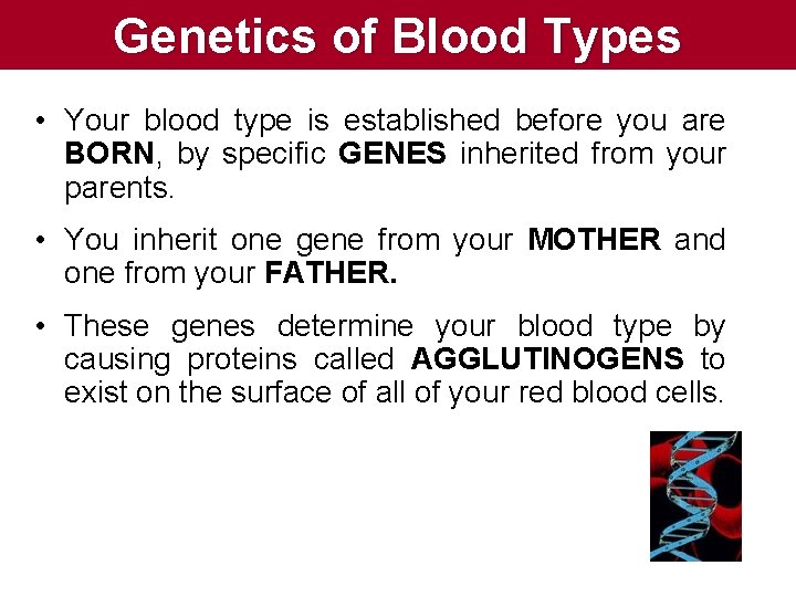 Genetics of Blood Types • Your blood type is established before you are BORN, Genetics of Blood Types • Your blood type is established before you are BORN,