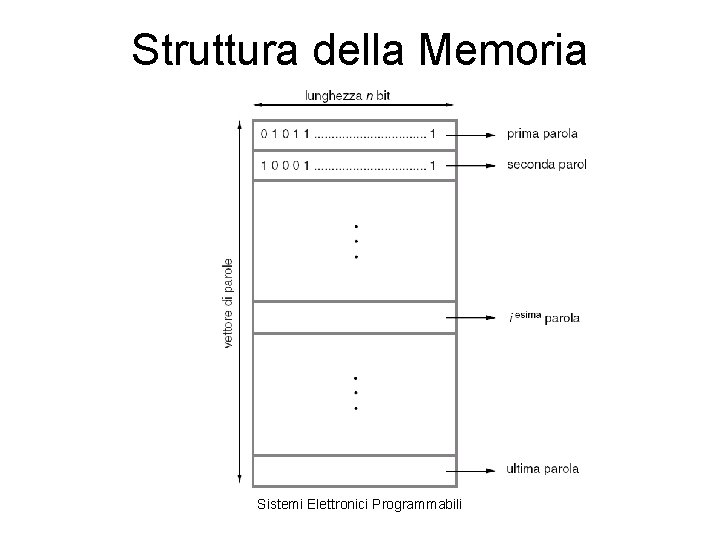 Struttura della Memoria Sistemi Elettronici Programmabili 