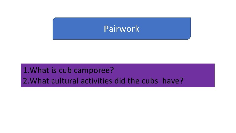 Pairwork 1. What is cub camporee? 2. What cultural activities did the cubs have?