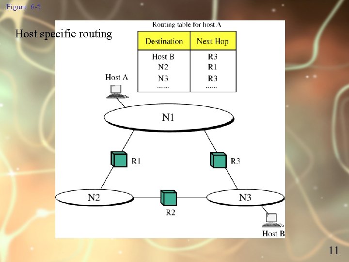 Figure 6 -5 Host specific routing 11 